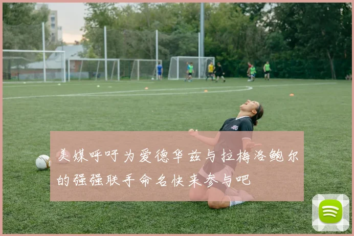 美媒呼吁为爱德华兹与拉梅洛鲍尔的强强联手命名快来参与吧
