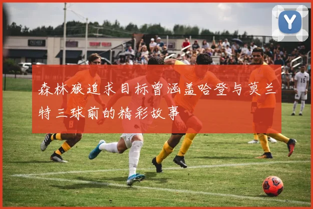 森林狼追求目标曾涵盖哈登与莫兰特三球前的精彩故事