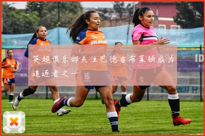 英超俱乐部关注巴德吉布莱顿成为追逐者之一